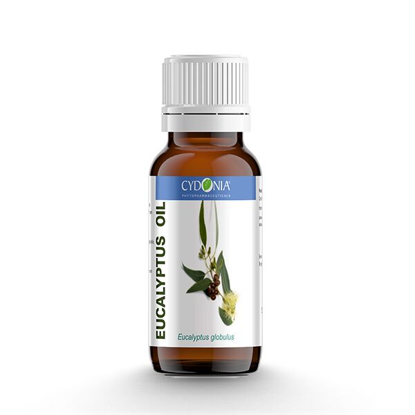 Eucalyptus globulus outlet oil